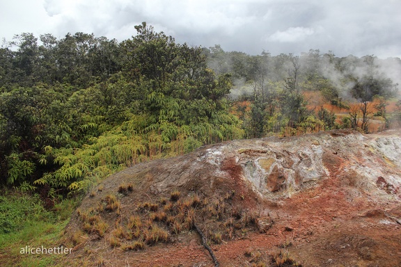 Volcano National Park